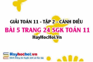 Bài 5 trang 24 Toán 11 tập 2 Cánh Diều